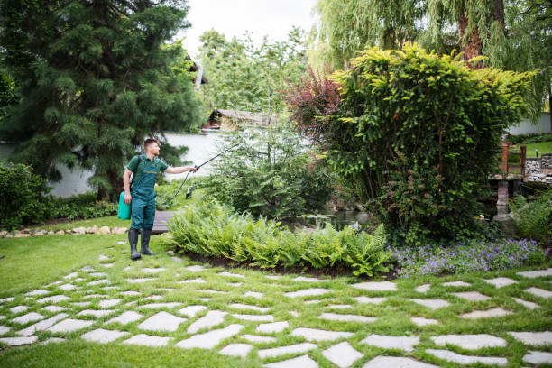 Trusted Chrisman, IL Pest Control Experts
