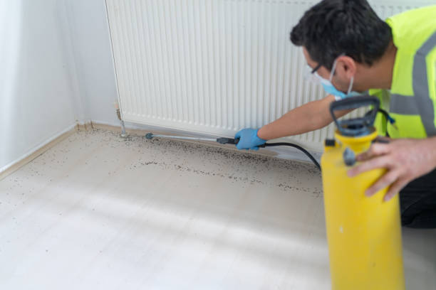 Best Emergency Pest Control  in Chrisman, IL